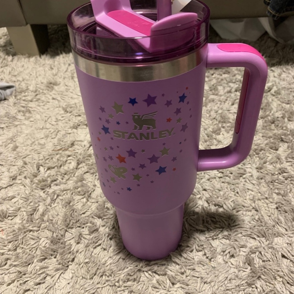 Stanley Purple Insulated Water Bottle with Handle